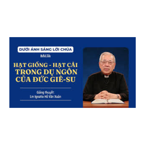Bài 72: Hạt giống - Hạt cải trong dụ ngôn của Đức Giêsu